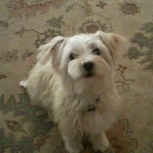 Meet your Posher, Andrea